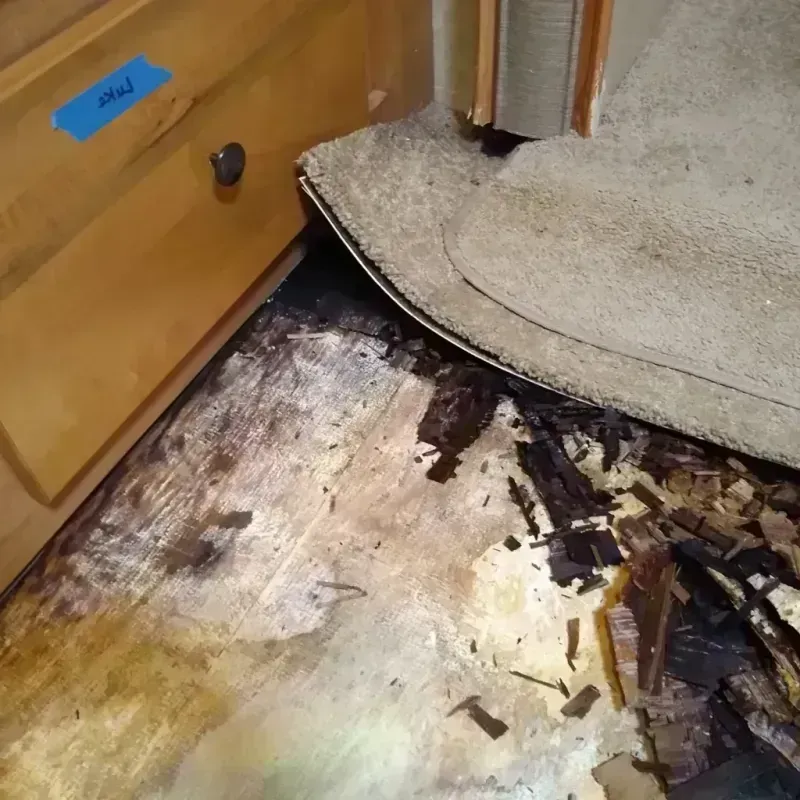 Wood Floor Water Damage in Ouray, CO